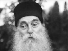 Mihai Vladu – Asta e „teologia” Părintelui Arsenie!